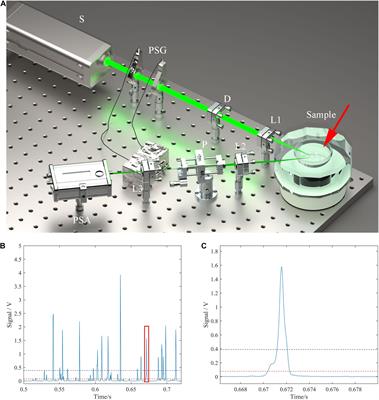 In-situ Detection Method for Microplastics in Water by <mark class="highlighted">Polarized Light</mark> Scattering